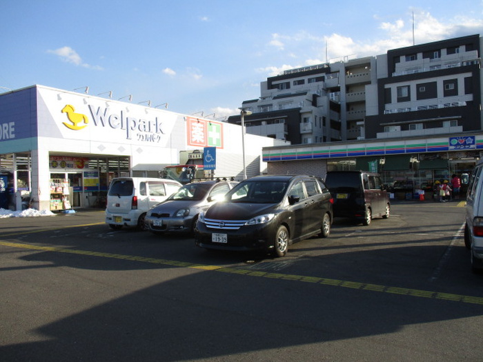 ドラックストア　ウェルパーク（ドラッグストア）まで260m