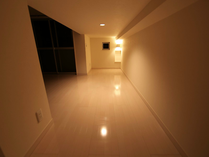 その他部屋・スペース　アンダーロフト4.8帖（収納としてもお部屋としても使えます）