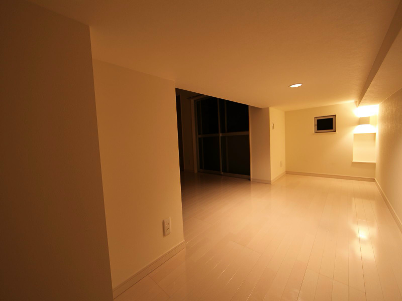 その他　アンダーロフト4.8帖（収納としてもお部屋としても使えます）