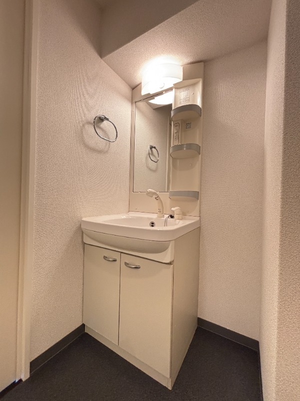 洗面設備　１００２号室　写真
