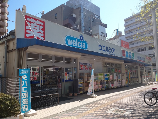 ドラックストア　ウエルシア相模大野店（ドラッグストア）まで728m