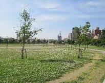 公園　川名公園（公園）まで390m