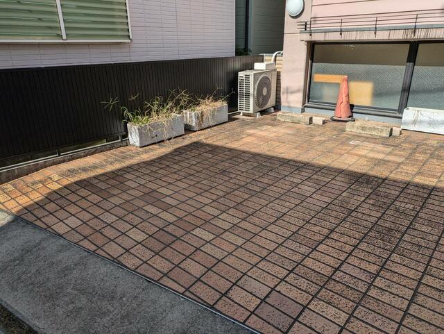 庭