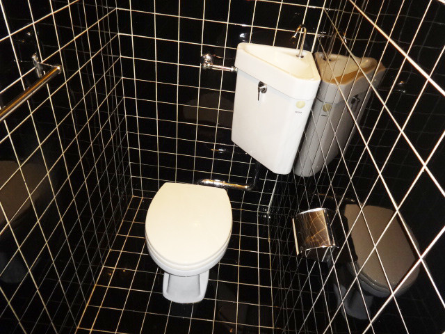 トイレ　オシャレなトイレも発見♪
