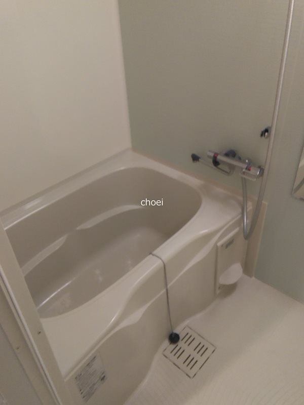 バス・シャワールーム　※別部屋の写真です