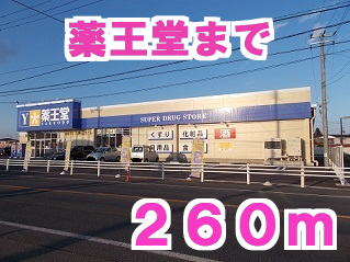 ドラックストア　薬王堂（ドラッグストア）まで260m