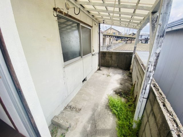 庭