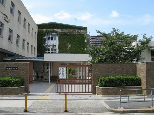 中学校　大阪市立歌島中学校（中学校）まで557m