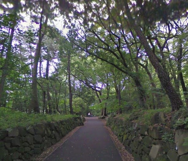 公園　林試の森公園北門（公園）まで450m