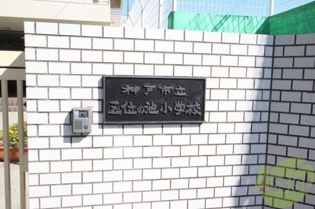 小学校　神戸市立五位の池小学校（小学校）まで471m