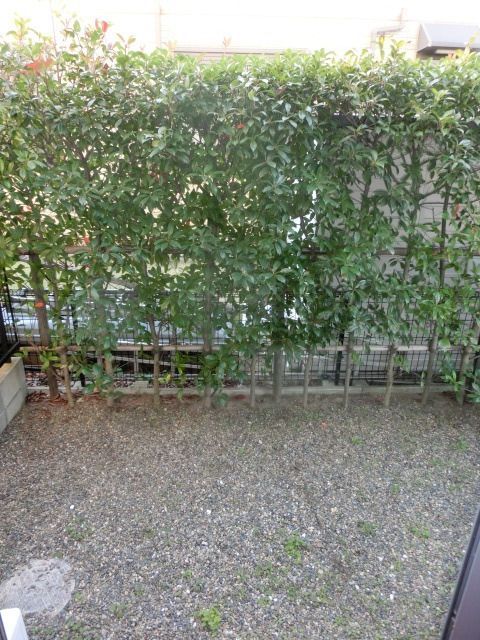 眺望　広々テラス