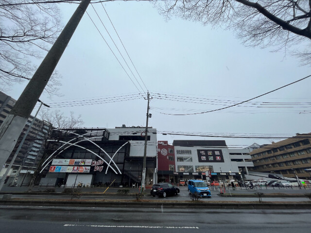 スーパー　ハローデイハローパーク大手町店（スーパー）まで719m