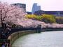公園　毛馬桜之宮公園（公園）まで972m
