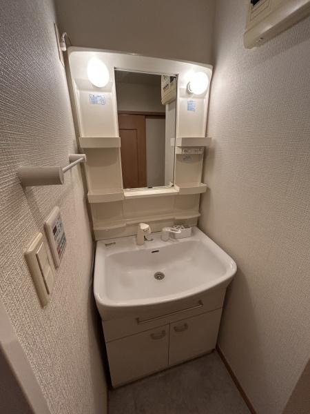 洗面設備　便利なシャンプードレッサー付き
