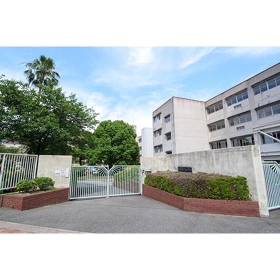中学校　西宮市立鳴尾南中学校（中学校）まで807m