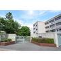中学校　西宮市立鳴尾南中学校（中学校）まで807m