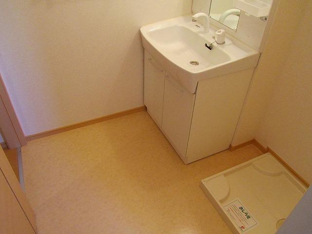 その他設備　シャンプードレッサーと室内洗濯機置き場です