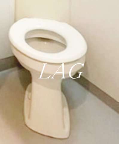 トイレ　トイレです。