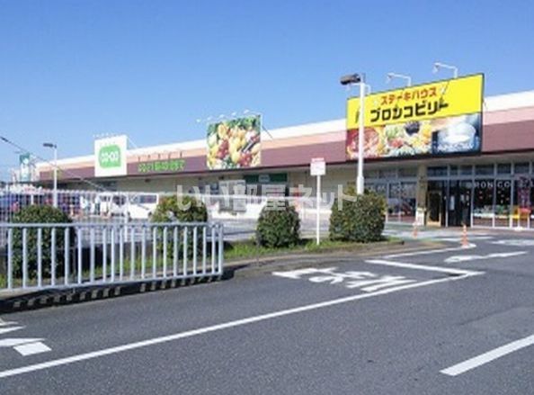 ショッピングセンター　パルルショッピングセンター（ショッピングセンター）まで233m
