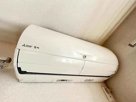 エンソラードのその他写真