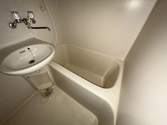 バス・シャワールーム　※別部屋の写真です