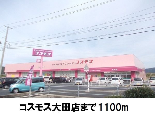 ドラックストア　ウエルネス大田店（ドラッグストア）まで1100m