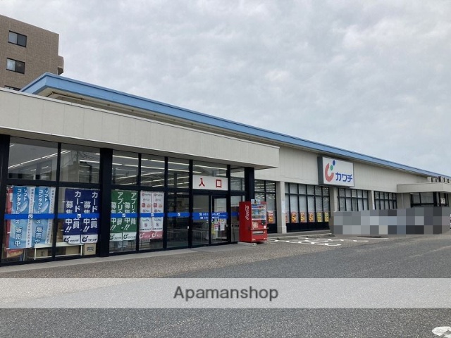 ドラックストア　カワチ薬局青山店（ドラッグストア）まで202m