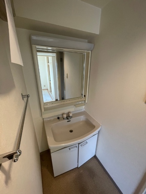 洗面設備　※別部屋参考写真