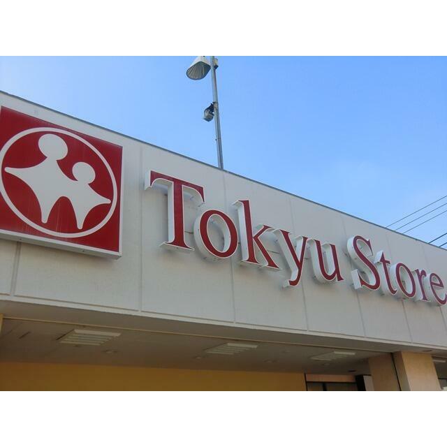 ショッピングセンター　東急ストア洗足店（ショッピングセンター）まで185m