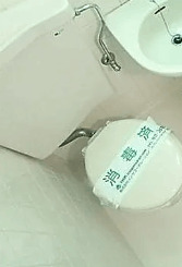 トイレ　※別部屋参考写真