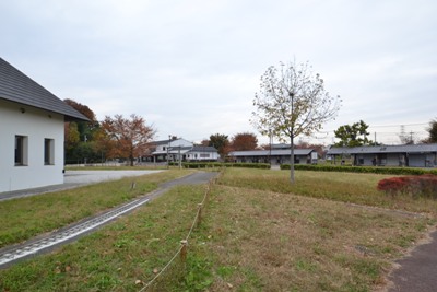 公園　万願寺中央公園（公園）まで647m