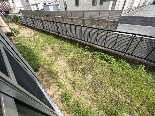 庭