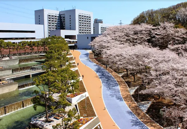 大学・短大　私立中央大学（大学・短大）まで991m