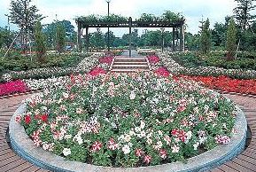 公園　フラワーランド（公園）まで1048m