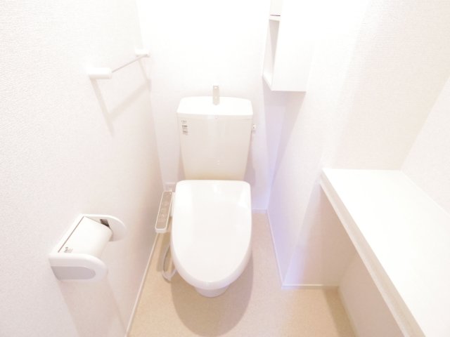 ＪＲ桜井線 長柄駅 徒歩17分 2階建 築9年のトイレ写真