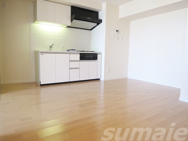 居室・リビング　☆人気のシステムキッチン、使いやすい9.1帖のLDKです☆