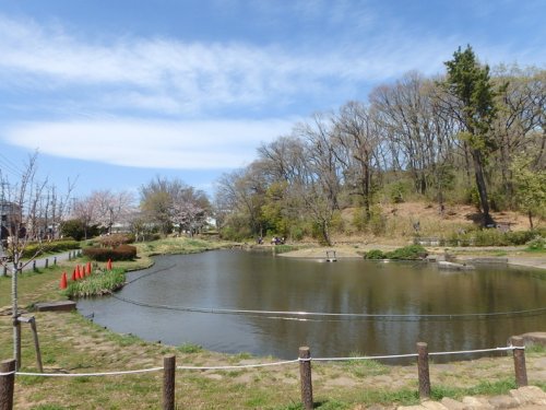 公園　桜台公園（公園）まで235m