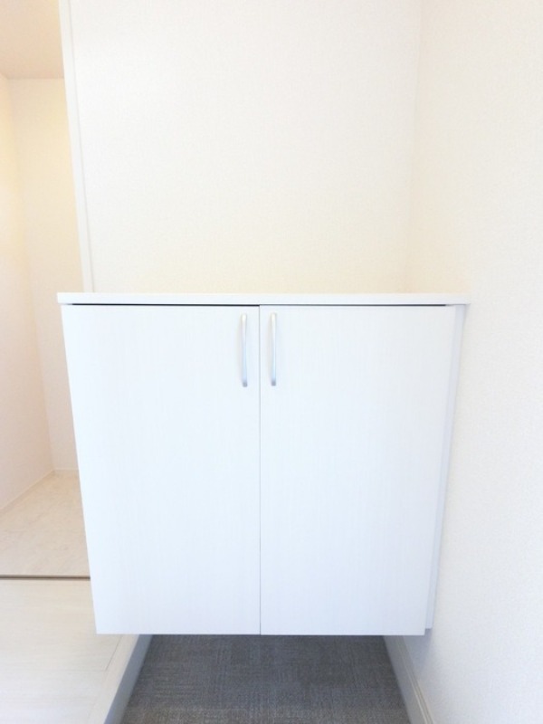 玄関　図面と現状に相違がある場合には現状を優先