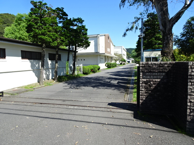 中学校　静岡大学教育学部附属島田中学校（中学校）まで774m