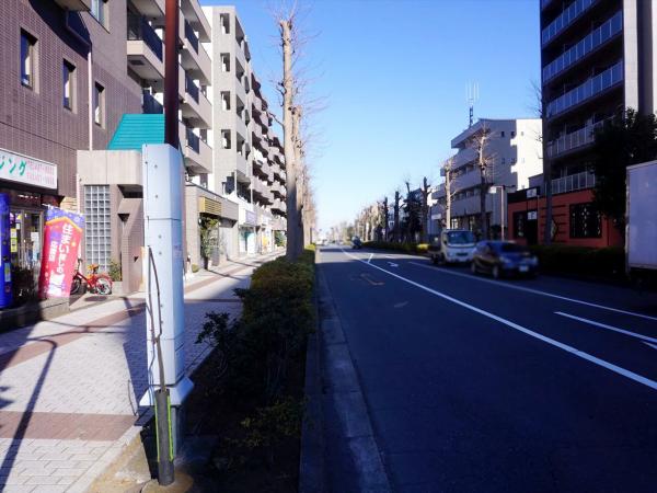 その他　現地周辺街並み（その他）まで5m