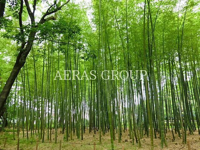 公園　竹の子公園（公園）まで923m