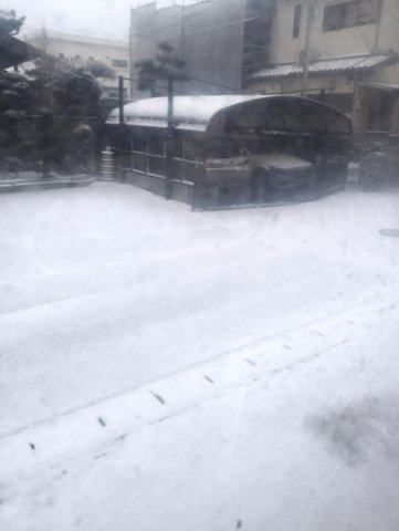 眺望　2026年2月8日雪の日に室内から外を撮影
