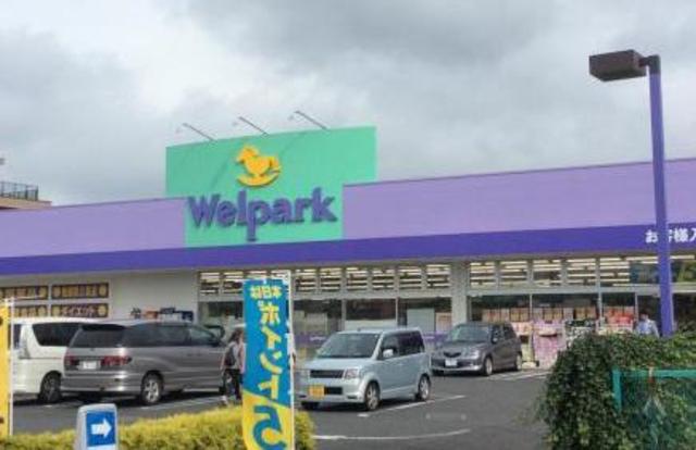 ドラックストア　ウェルパーク綾瀬深谷店（ドラッグストア）まで323m