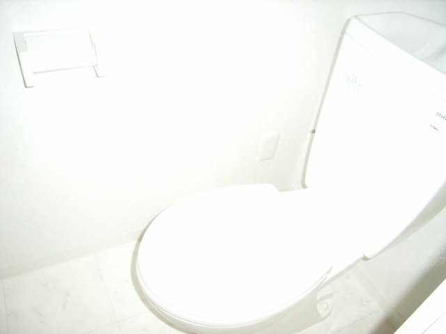 トイレ　同物件別号室のものです。