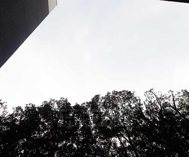 眺望　バルコニーからの室外風景です。