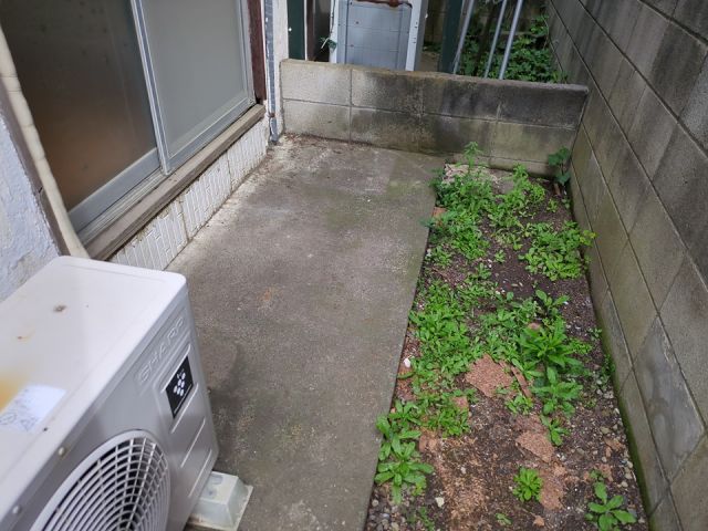 庭