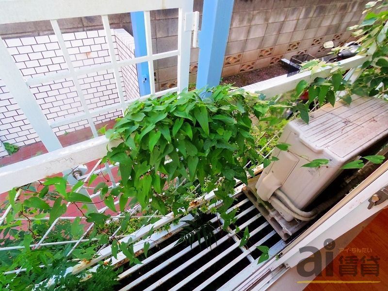 バルコニー　他号室画像