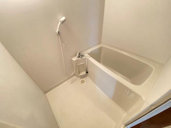 バス・シャワールーム　※別部屋の写真です