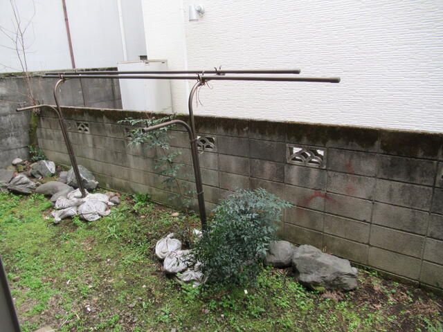 庭