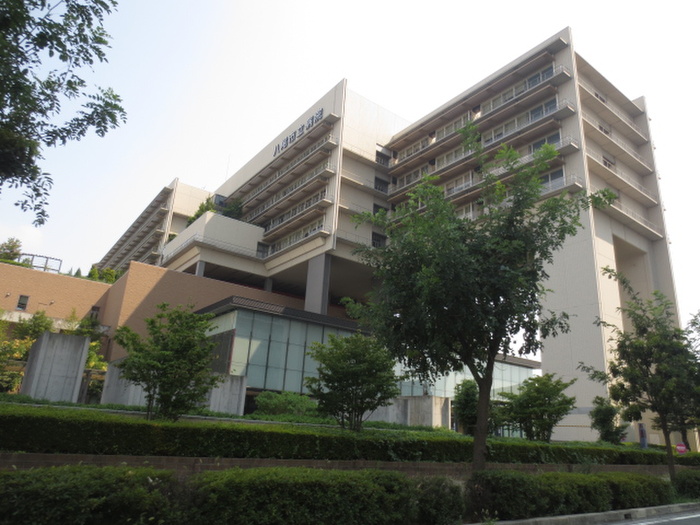 病院　八尾市立病院（病院）まで241m